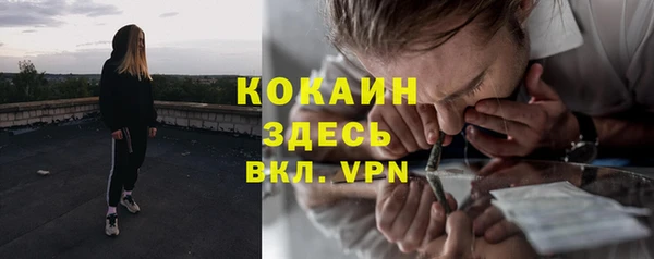 гидра Армянск