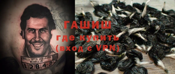 гидра Армянск